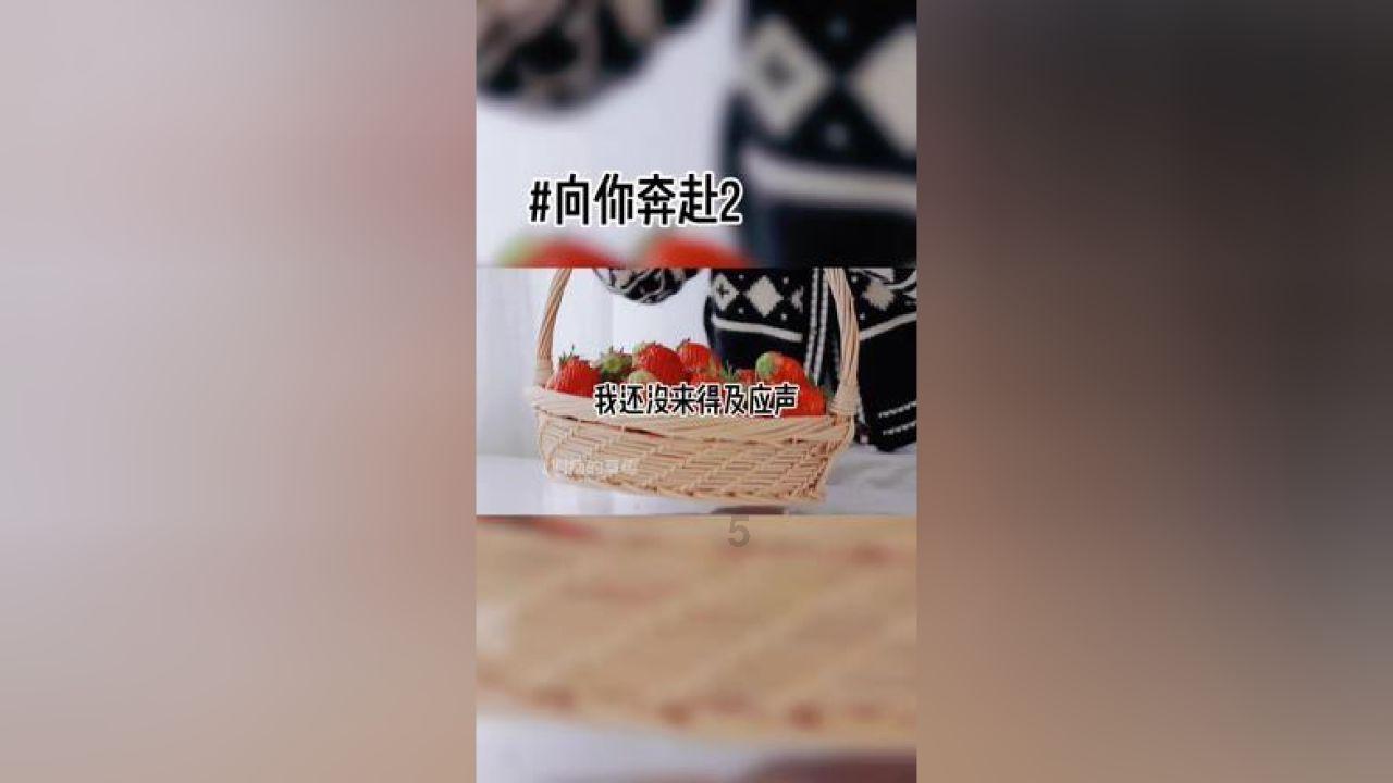 脱逃者